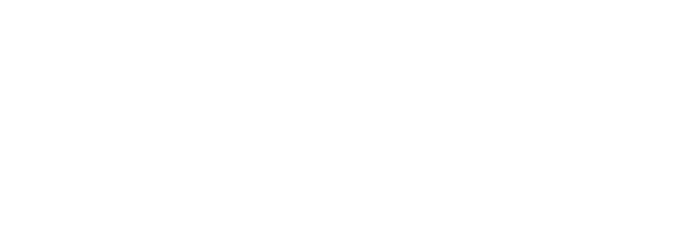 Vigo en festas